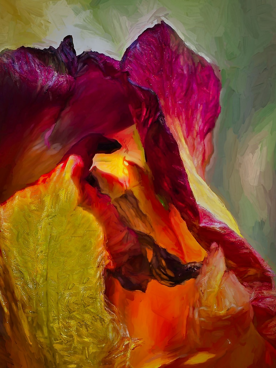Bahtiarian Alex Iris Impression Nature   Botanical   Class A 20260225